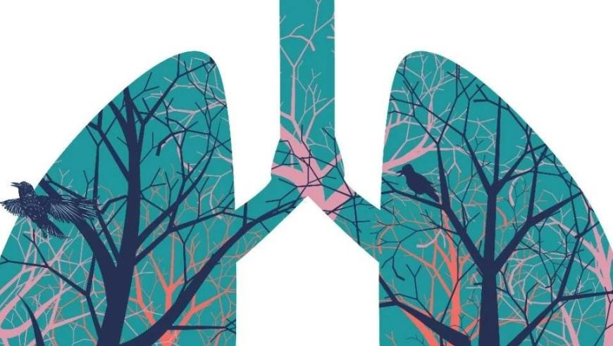 小魚兒論壇全免費必出,中國籃協(xié)新班底出爐,廣泛的解釋落實方法分析_高清版V7.45