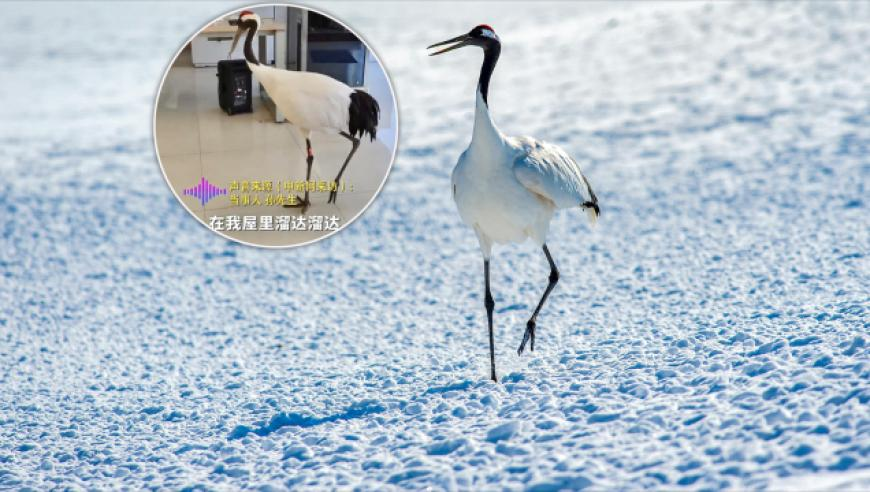 500VIP彩票APP下載,民進(jìn)黨當(dāng)局的危險政策,詳細(xì)釋義解釋落實_經(jīng)典版V3.61