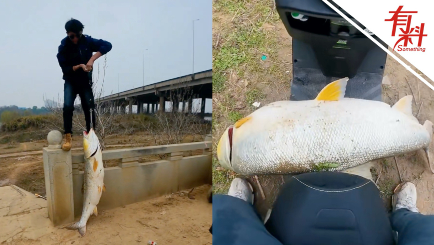 小孩高空拋物致車損,577777現(xiàn)場i快開獎,精準解釋落實及其象征意義_創(chuàng)新版V5.7